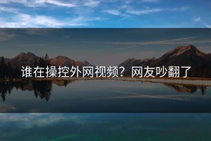 谁在操控外网视频？网友吵翻了