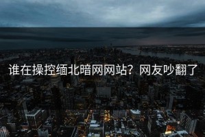 谁在操控缅北暗网网站？网友吵翻了