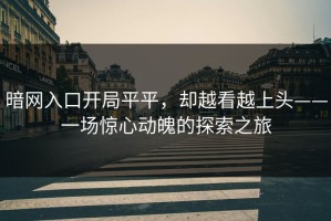 暗网入口开局平平，却越看越上头——一场惊心动魄的探索之旅