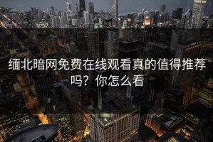 缅北暗网免费在线观看真的值得推荐吗？你怎么看