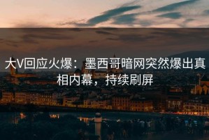大V回应火爆：墨西哥暗网突然爆出真相内幕，持续刷屏