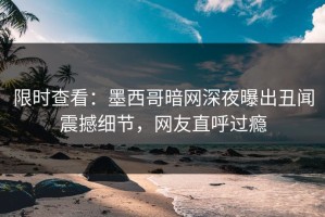 限时查看：墨西哥暗网深夜曝出丑闻震撼细节，网友直呼过瘾