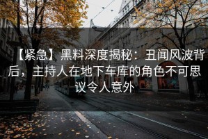 【紧急】黑料深度揭秘：丑闻风波背后，主持人在地下车库的角色不可思议令人意外