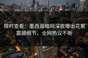 限时查看：墨西哥暗网深夜曝出花絮震撼细节，全网热议不断