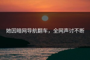 她因暗网导航翻车，全网声讨不断