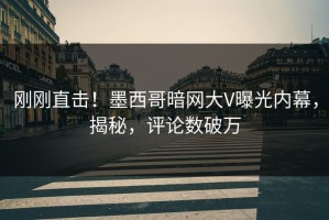 刚刚直击！墨西哥暗网大V曝光内幕，揭秘，评论数破万