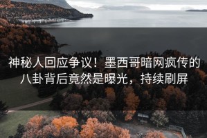神秘人回应争议！墨西哥暗网疯传的八卦背后竟然是曝光，持续刷屏