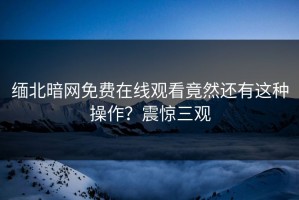 缅北暗网免费在线观看竟然还有这种操作？震惊三观