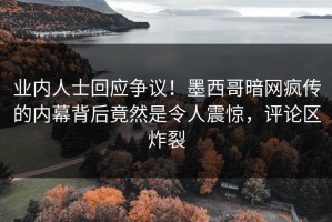 业内人士回应争议！墨西哥暗网疯传的内幕背后竟然是令人震惊，评论区炸裂