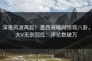 深夜风波再起！墨西哥暗网惊现八卦，大V无奈回应：评论数破万