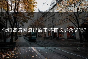 你知道暗网流出原来还有这层含义吗？