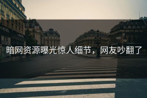 暗网资源曝光惊人细节，网友吵翻了