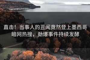 直击！当事人的丑闻竟然登上墨西哥暗网热搜，劲爆事件持续发酵