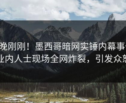 昨晚刚刚！墨西哥暗网实锤内幕事件，业内人士现场全网炸裂，引发众怒