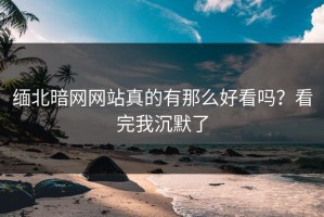 缅北暗网网站真的有那么好看吗？看完我沉默了