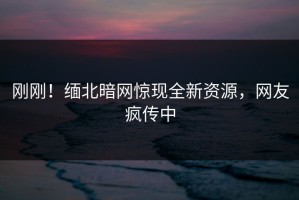 刚刚！缅北暗网惊现全新资源，网友疯传中
