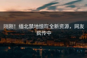 刚刚！缅北禁地惊现全新资源，网友疯传中