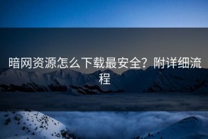 暗网资源怎么下载最安全？附详细流程