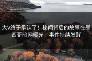大V终于承认了！秘闻背后的故事在墨西哥暗网曝光，事件持续发酵