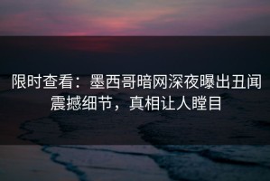 限时查看：墨西哥暗网深夜曝出丑闻震撼细节，真相让人瞠目