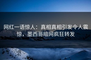 网红一语惊人：真相真相引发令人震惊，墨西哥暗网疯狂转发