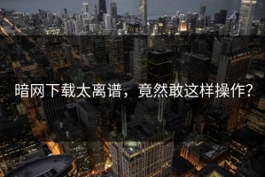暗网下载太离谱，竟然敢这样操作？