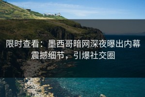 限时查看：墨西哥暗网深夜曝出内幕震撼细节，引爆社交圈