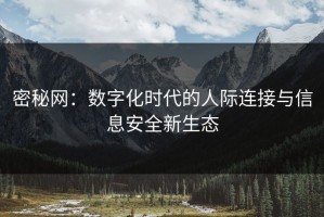 密秘网：数字化时代的人际连接与信息安全新生态
