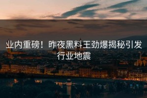 业内重磅！昨夜黑料王劲爆揭秘引发行业地震