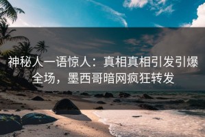 神秘人一语惊人：真相真相引发引爆全场，墨西哥暗网疯狂转发