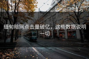 缅甸暗网点击量破亿，这些数据说明一切