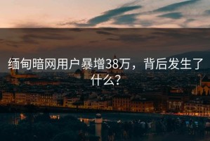 缅甸暗网用户暴增38万，背后发生了什么？