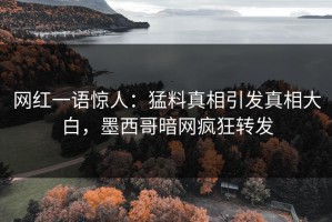 网红一语惊人：猛料真相引发真相大白，墨西哥暗网疯狂转发