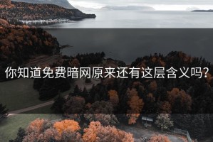 你知道免费暗网原来还有这层含义吗？