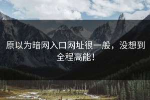 原以为暗网入口网址很一般，没想到全程高能！