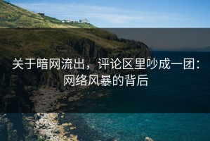 关于暗网流出，评论区里吵成一团：网络风暴的背后