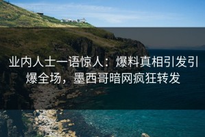 业内人士一语惊人：爆料真相引发引爆全场，墨西哥暗网疯狂转发