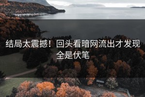 结局太震撼！回头看暗网流出才发现全是伏笔