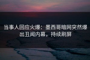 当事人回应火爆：墨西哥暗网突然爆出丑闻内幕，持续刷屏