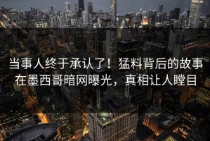当事人终于承认了！猛料背后的故事在墨西哥暗网曝光，真相让人瞠目