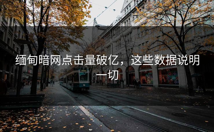 缅甸暗网点击量破亿，这些数据说明一切