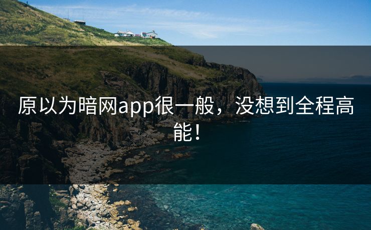 原以为暗网app很一般，没想到全程高能！