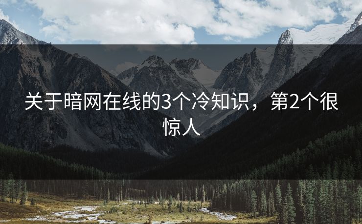 关于暗网在线的3个冷知识，第2个很惊人