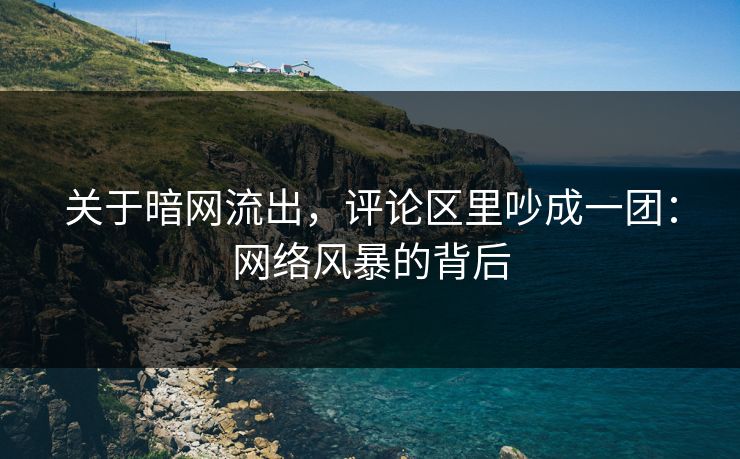 关于暗网流出，评论区里吵成一团：网络风暴的背后