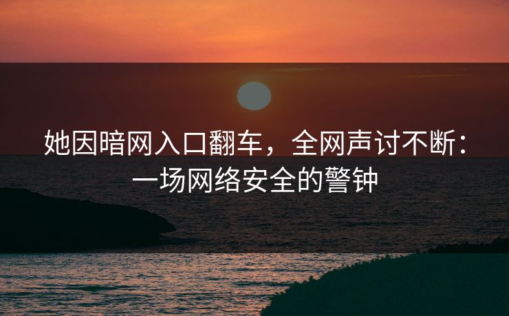 她因暗网入口翻车，全网声讨不断：一场网络安全的警钟