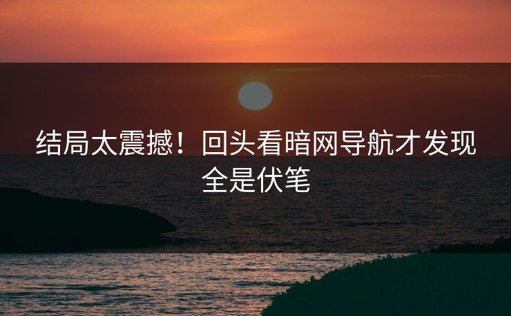 结局太震撼！回头看暗网导航才发现全是伏笔