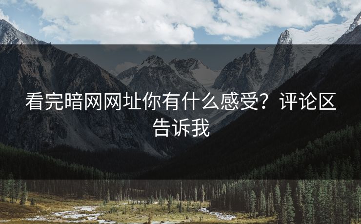 看完暗网网址你有什么感受？评论区告诉我