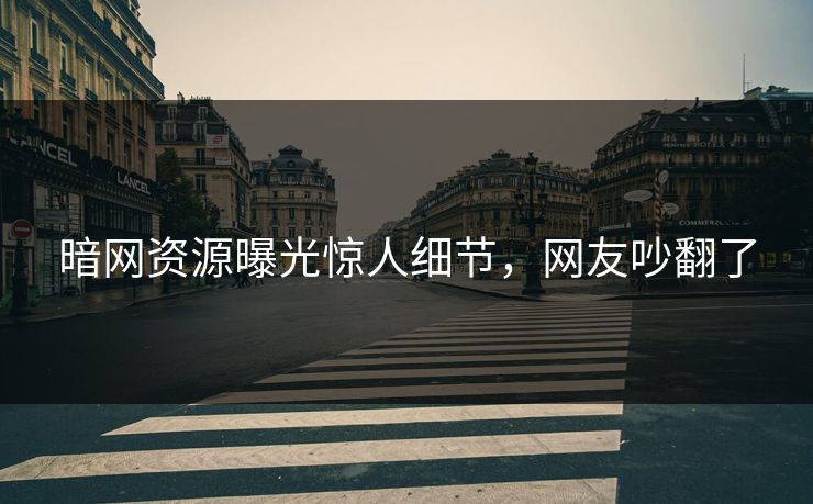 暗网资源曝光惊人细节，网友吵翻了