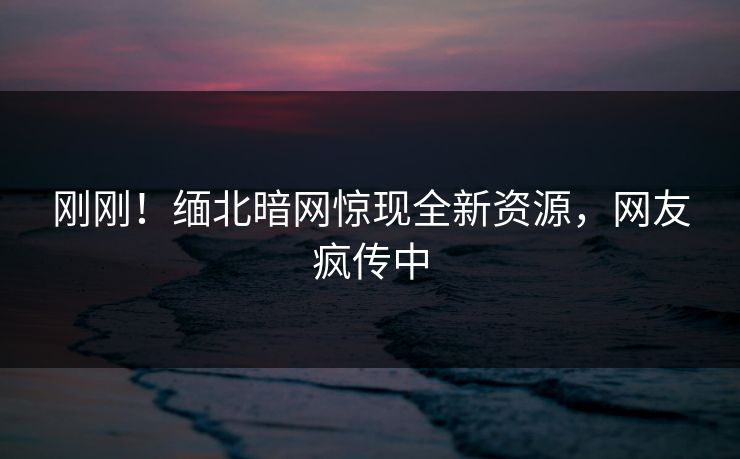 刚刚！缅北暗网惊现全新资源，网友疯传中