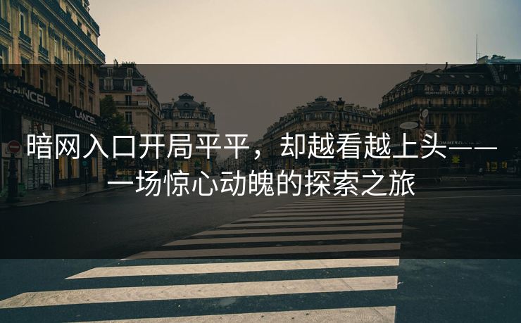 暗网入口开局平平，却越看越上头——一场惊心动魄的探索之旅